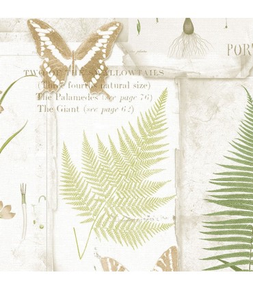 FK34415 - Fresh Kitchens 5 - Insects and Leaves Wallpaper