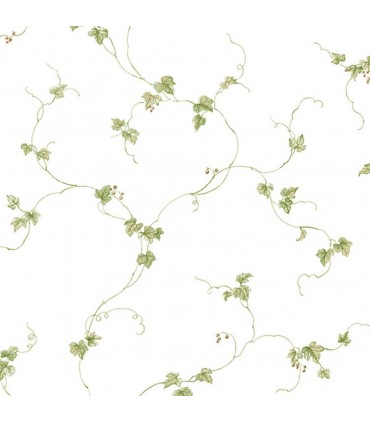 FK34437- Fresh Kitchens 5 - Trailing Leaves and Berries