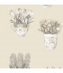 FK34422  -  Fresh Kitchens 5 -Flower Pots