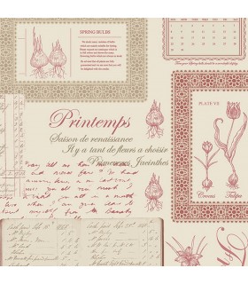FK34418  -  Fresh Kitchens 5 -Spring Flower Bulbs - Script
