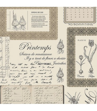 FK34419  -  Fresh Kitchens 5 -Spring Flower Bulbs - Script