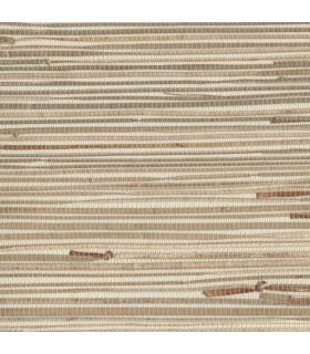 NZ0781 - Grasscloth  by York - Sea Grass