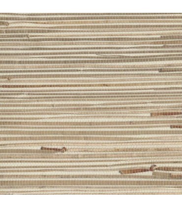 NZ0781 - Grasscloth  by York - Sea Grass