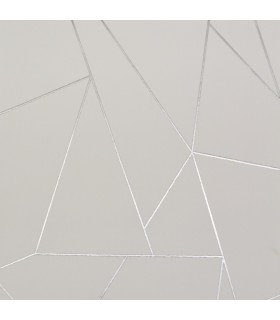 NW3501 - Modern Metals Wallpaper by Antonina Vella-Nazca