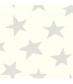 RMK10848WP - Peel and Stick Wallpaper-Star-Grey