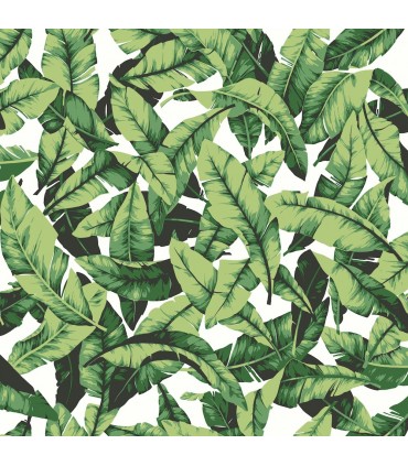 RMK11045WP - Peel and Stick Wallpaper-Palm Leaf