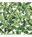 RMK11045WP - Peel and Stick Wallpaper-Palm Leaf