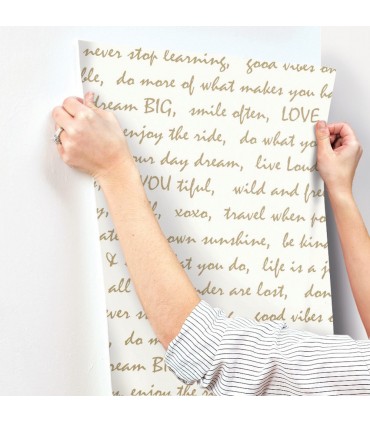 RMK9006WP - Peel and Stick Wallpaper-Dream Big Gold Script
