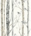 RMK9047WP - Peel and Stick Wallpaper-Birch Trees