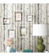 RMK9047WP - Peel and Stick Wallpaper-Birch Trees