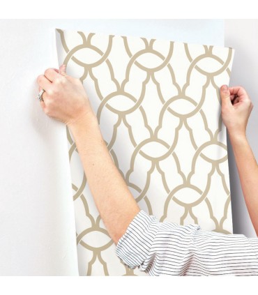RMK9121WP - Peel and Stick Wallpaper-Gold Trellis