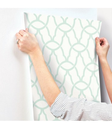 RMK9120WP - Peel and Stick Wallpaper-Blue Trellis