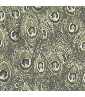 MH36520 - Manor House Wallpaper by Norwall-Peacock Feathers