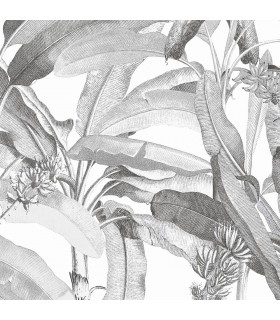 MH36533 - Manor House Wallpaper by Norwall-Tropical Banana Plant