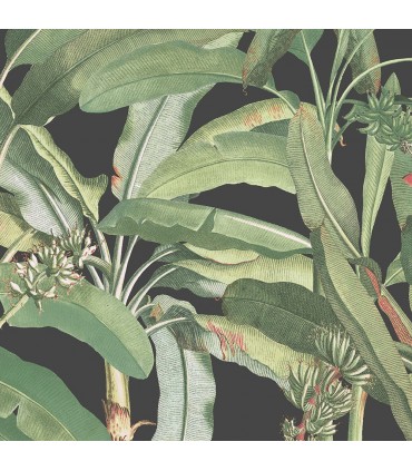 MH36535 - Manor House Wallpaper by Norwall-Tropical Banana Plant