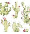 CK36630 - Creative Kitchens Wallpaper by Norwall-Flowering Cactus
