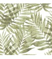 G67944 - Organic Textures Wallpaper by Patton-Palm Leaves
