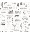 3118-01475 - Birch and Sparrow Wallpaper by Chesapeake-North Hills Camping Quotes