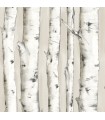 3118-12601 - Birch and Sparrow Wallpaper by Chesapeake-Pioneer Birch Tree
