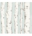 3118-12602 - Birch and Sparrow Wallpaper by Chesapeake-Pioneer Birch Tree