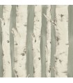3118-12603 - Birch and Sparrow Wallpaper by Chesapeake-Pioneer Birch Tree