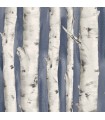 3118-12604 - Birch and Sparrow Wallpaper by Chesapeake-Pioneer Birch Tree