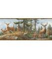 3118-48463B - Birch and Sparrow Wallpaper by Chesapeake-Whitetail Crest Forest Border