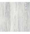 3118-642215 - Birch and Sparrow Wallpaper by Chesapeake-Mapleton Shiplap