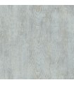 3118-12681 - Birch and Sparrow Wallpaper by Chesapeake-Drifter Wood