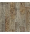 3118-12693 - Birch and Sparrow Wallpaper by Chesapeake-Chebacco Wooden Planks