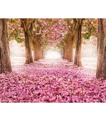 WALS0125 - Ohpopsi Wallpaper Mural-Yonder