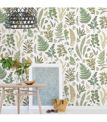 2821-SM25155 - Folklore Wallpaper by A Street Prints - Britta Herbs Wall Mural