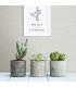 2901-24278 - Perennial Wallpaper by A Street-Agave Bliss Grasscloth