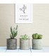2901-24281 - Perennial Wallpaper by A Street-Agave Bliss Grasscloth