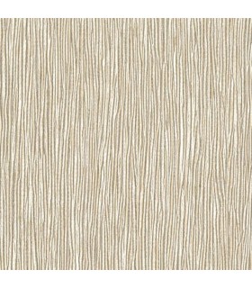 RRD0864 - Peals Night Out