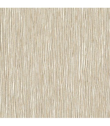 RRD0864 - Peals Night Out