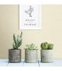 2902-24280 - Theory Wallpaper by A Street-Agave Faux Grasscloth