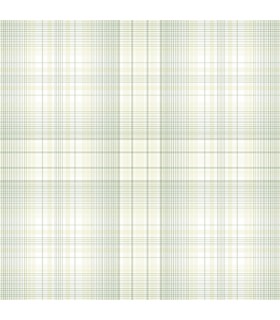 AF37717 - Flourish Wallpaper by Norwall-Plaid