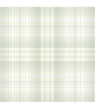 AF37717 - Flourish Wallpaper by Norwall-Plaid