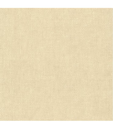 VG4424 - Grasscloth 2 by York