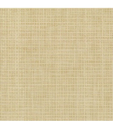 VG4425 - Grasscloth 2 by York