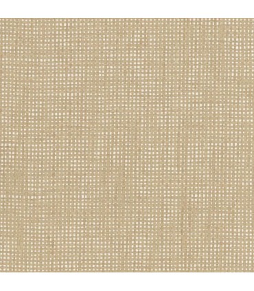 VG4426 - Grasscloth 2 by York