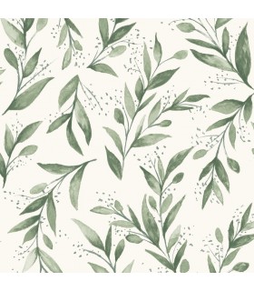 PSW1001RL - Magnolia Home by Joanna Gaines Peel and Stick Wallpaper-Olive Branch