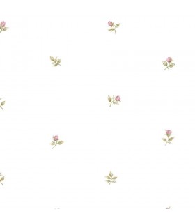 CG28872  - Rose Garden 2 by Norwall