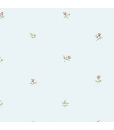 RG35718  - Rose Garden 2 by Norwall