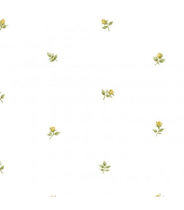 RG35721  - Rose Garden 2 by Norwall