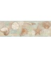 3120-46051B - Sanibel Sun Kissed Wallpaper by Chesapeake-Quinten Shells Border