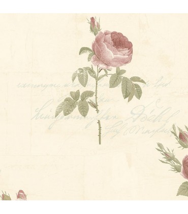 CG28861  - Rose Garden 2 by Norwall