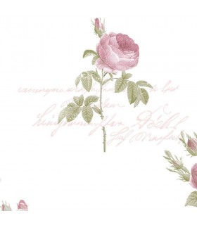 CG28820  - Rose Garden 2 by Norwall