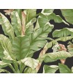 PSW1035RL - York Premium Peel and Stick Wallpaper-Banana Leaf